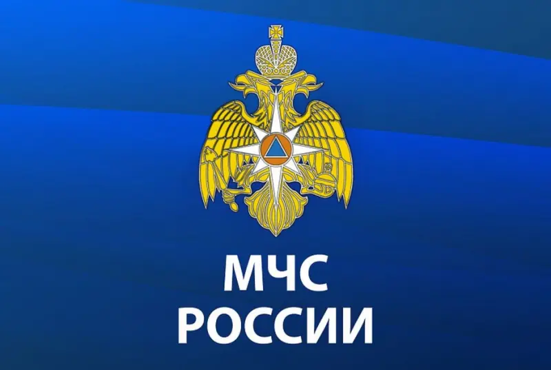 Лицензиаты временно освобождаются от прохождения процедуры подтверждения соответствия