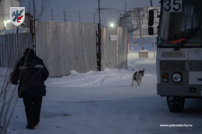 В Промышленном округе прошел плановый рейд по отлову безнадзорных собак