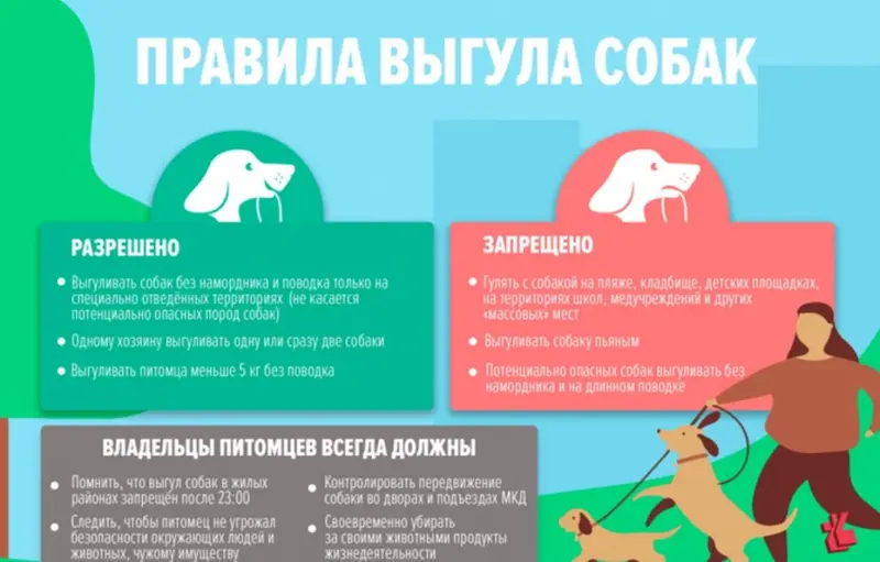 Уважаемые владельцы домашних животных, соблюдайте правила выгула собак