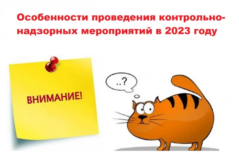 Мораторий на проверки продлен: Особенности проведения контрольно-надзорных мероприятий в 2023 году