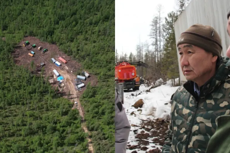 Сейчас пилить – Ил Дархану вредить: Заготовку леса в верховьях Амги перенесли до окончания выборов