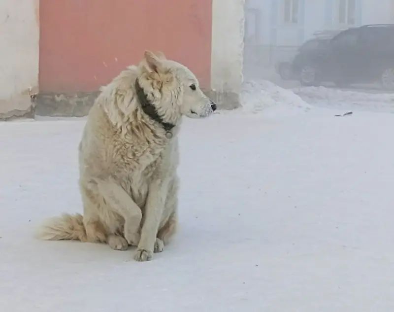 Синоптики: В ближайшие сутки в Якутии снова похолодает