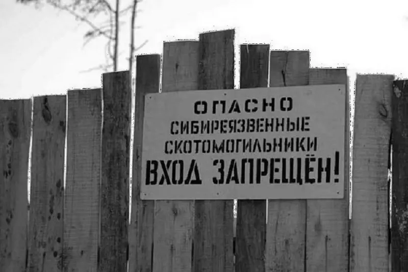 Надлежащего содержания скотомогильника с сибирской язвой добились в Алданском районе через суд