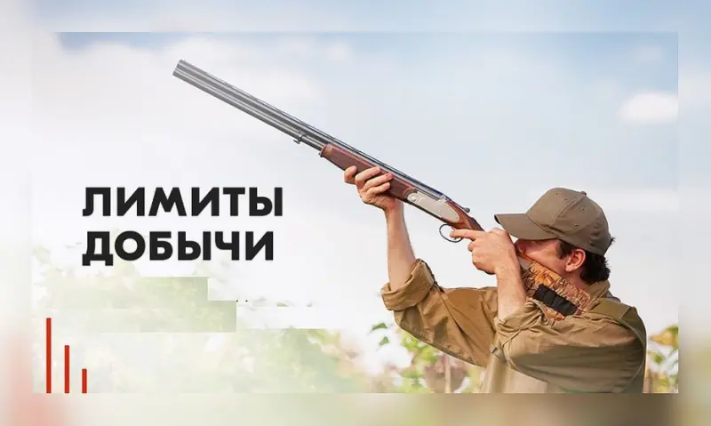 Публичные слушания по вопросу оценки воздействия на окружающую среду лимитов и квот добычи диких животных
