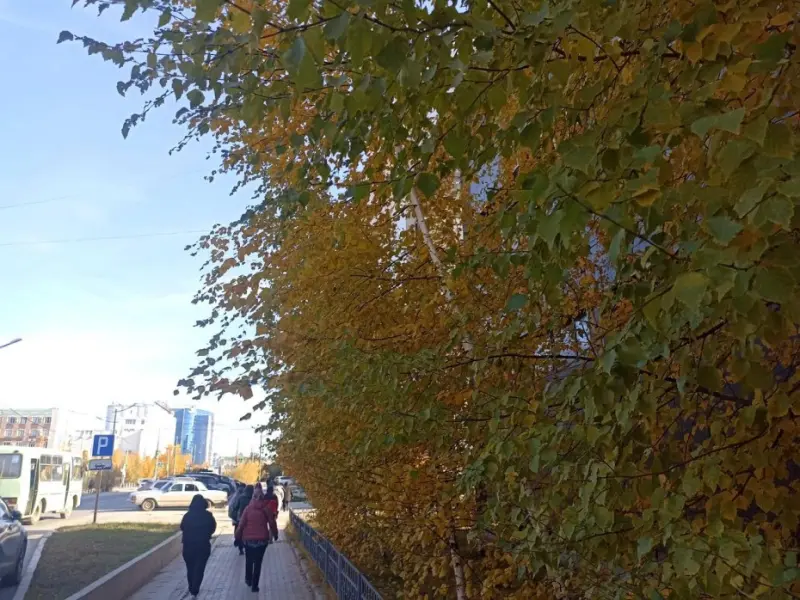 Бабье лето с небольшими дождями прогнозируется на большей части Якутии