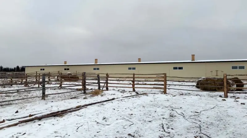 Новый телятник на 200 голов открыли в Хангаласском улусе