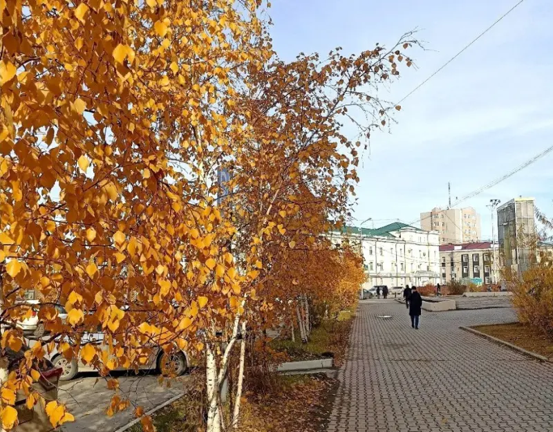 Якутгидрометцентр: В Якутске может быть побит новый рекорд по позднему установлению снежного покрова