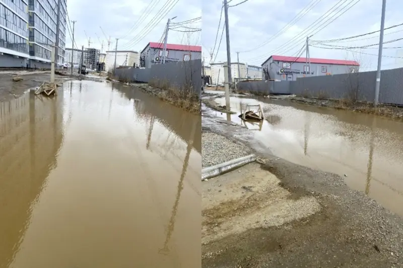 «Мой убитый двор»: Ода прекрасной Луже!
