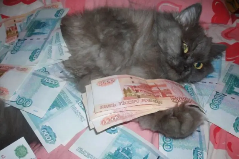185 миллиардов лежит на счетах якутян