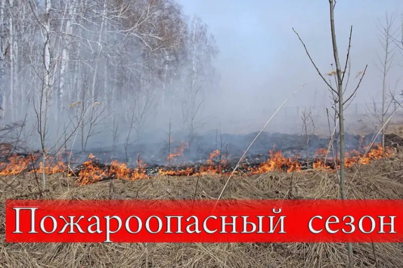 Вильфанд заявил об усилении пожароопасности в ДФО