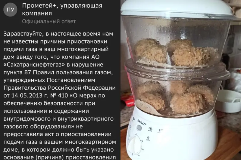 Газовый кризис в Якутске: Жители вынужденно покупают плитки, пароварки и мультиварки