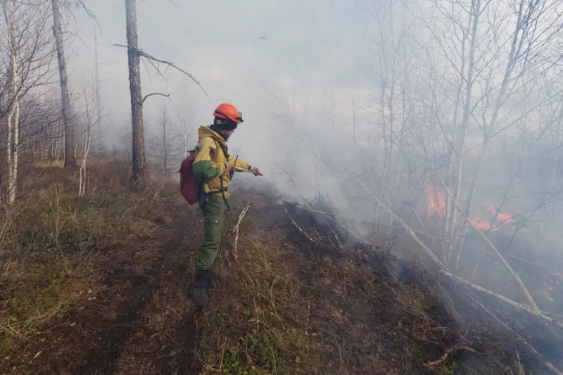 В Забайкалье начались лесные пожары