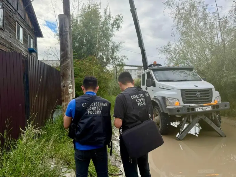 Сеть электроснабжения, от удара которой в Якутске погиб ребенок, принадлежит «Якутскэнерго»