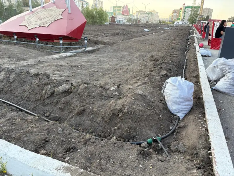 На площади Победы планируется высадка 33 елей