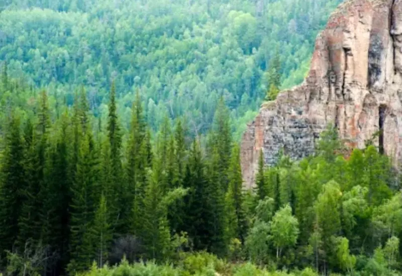 В Якутии на сегодня официально нет лесных пожаров