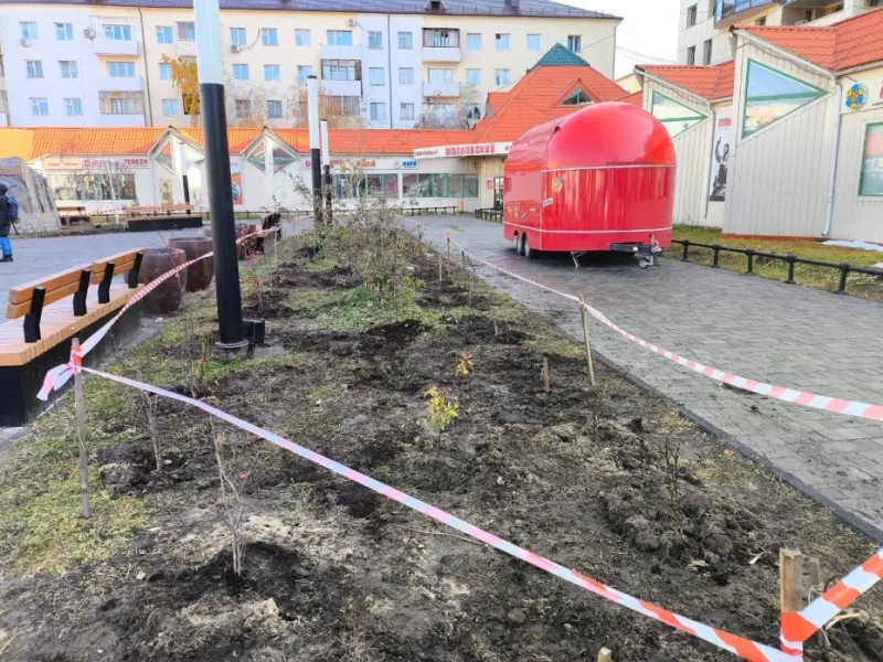 Для защиты саженцев против вандалов в Московском сквере натянули сигнальную ленту