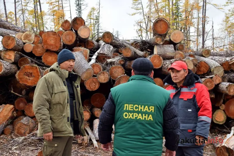 Дело амгинского леса: приняты меры по публикации «ЯИ»