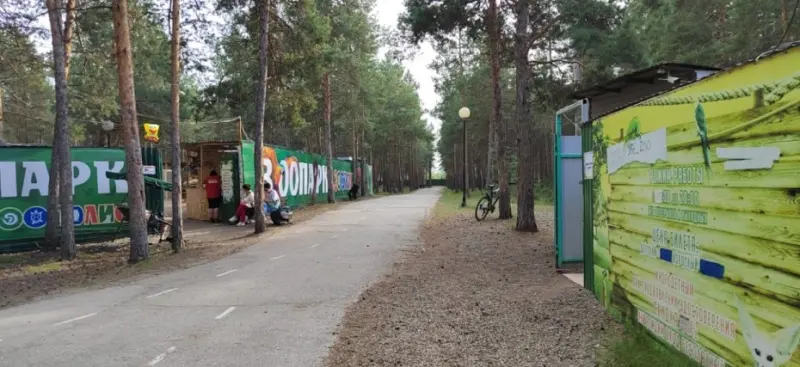 В Якутске подрядчик передозировал собаку седативными препаратами — животное погибло по дороге в приют