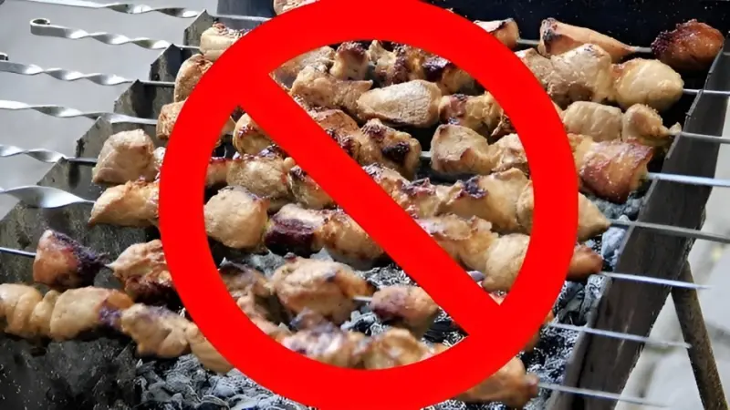 В Якутске введён особый противопожарный режим: въезд в леса запрещён, мангалы — под запретом