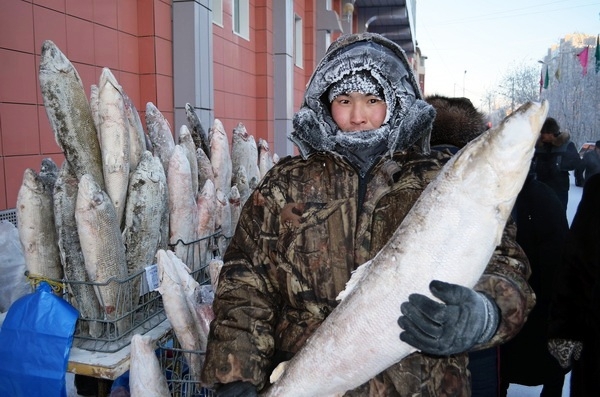 Рыбы якутии фото и названия