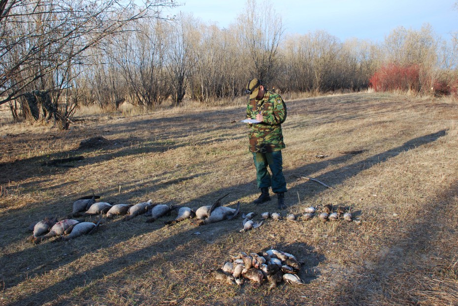 За месяц в Якутии выявлено 379  нарушений правил охоты