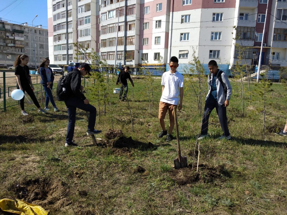 В Якутске пошла экологическая акция «Посади дерево!»