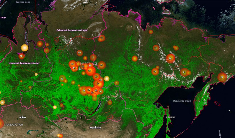 Наибольшая площадь лесных пожаров в РФ зафиксирована в Якутии и Красноярском крае