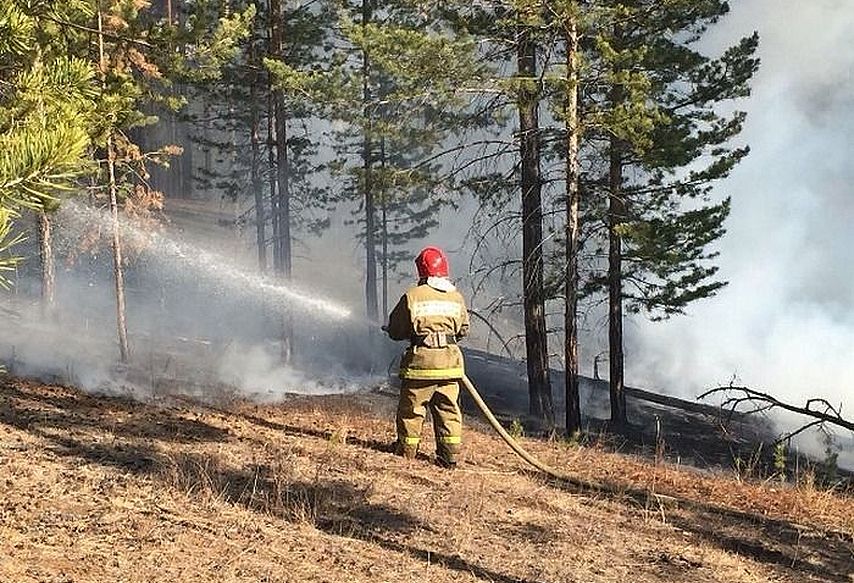 На территории Якутии действует 43 природных пожара