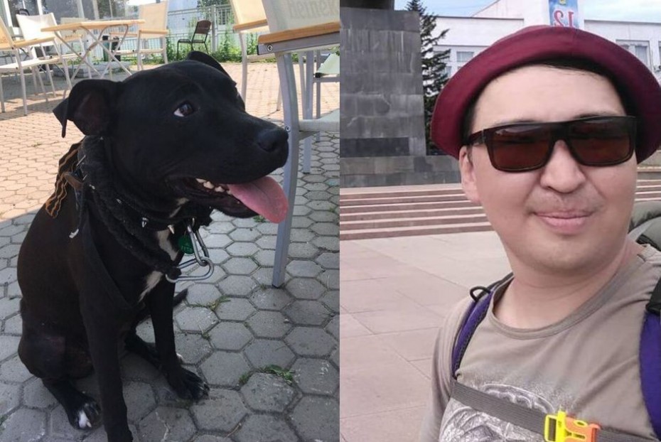 Собака Жара путешественника Андрея Игнатьева потерялась и нашлась в Красноярске