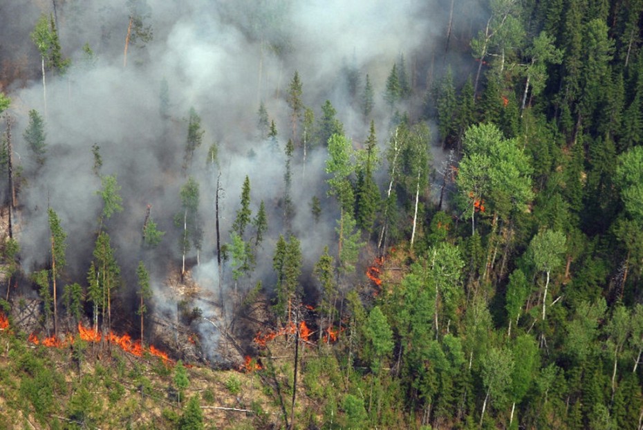 В Якутии за сутки резко увеличилась площадь лесных пожаров