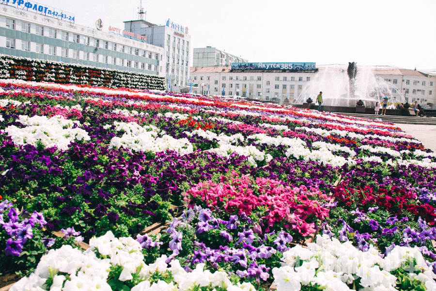 Цветущий Якутск: Приглашаем на ярмарку цветов и конкурс флористов