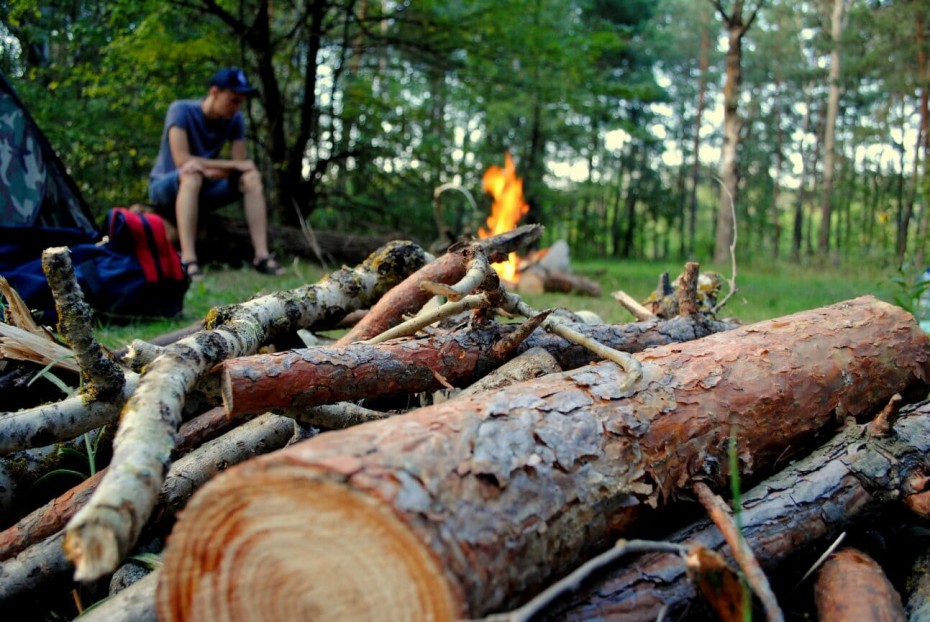 В России собираются повысить штрафы за разведение костров в лесу