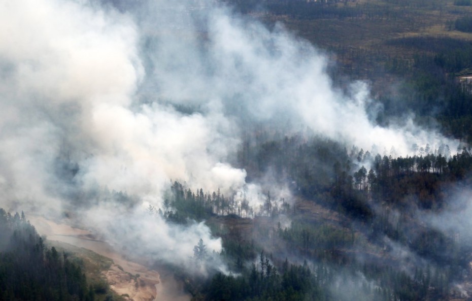 Площадь лесных пожаров в Якутии превысила 1 млн га