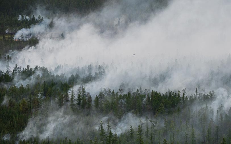 На территории Якутии действуют 25 природных лесных пожаров