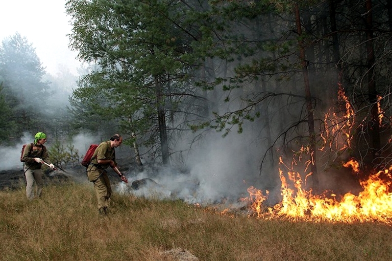 Около 700 тысяч га леса загорелись в Якутии