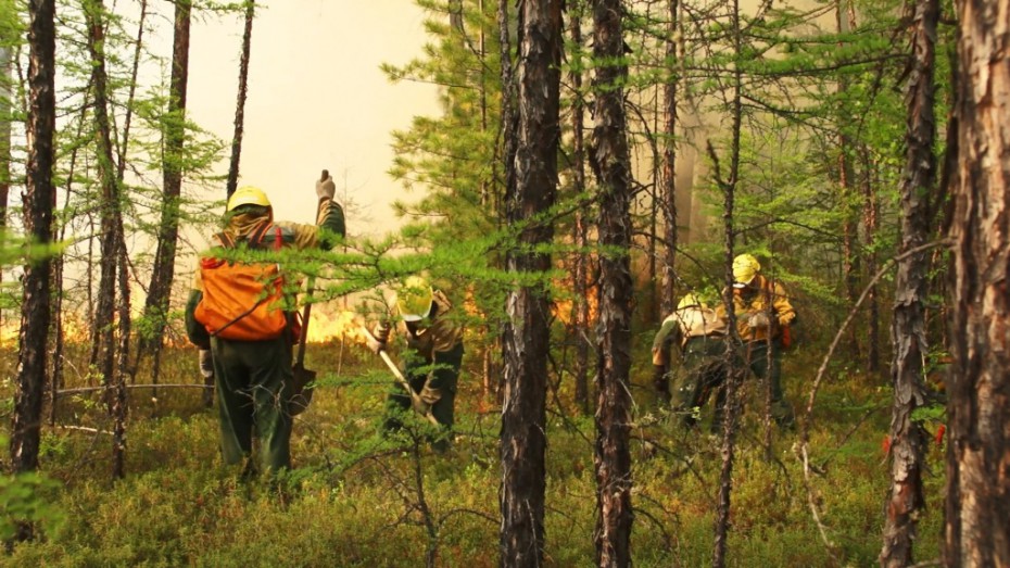 Оперативная информация о лесных пожарах на утро 2 августа