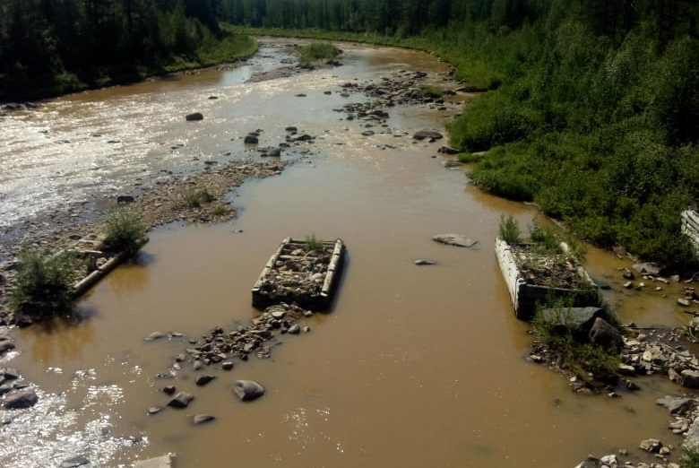 В Якутии китайские золотодобытчики отравили реку