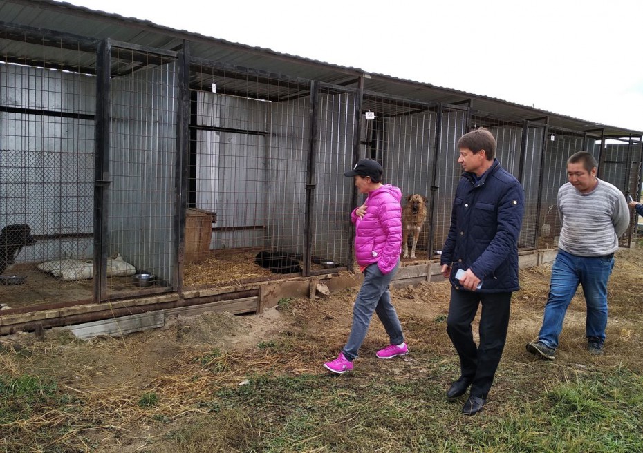 Сардана Авксентьева посетила пункт передержки безнадзорных животных