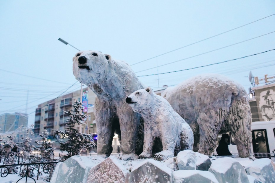 Семья белых медведей разместилась в центре Якутска
