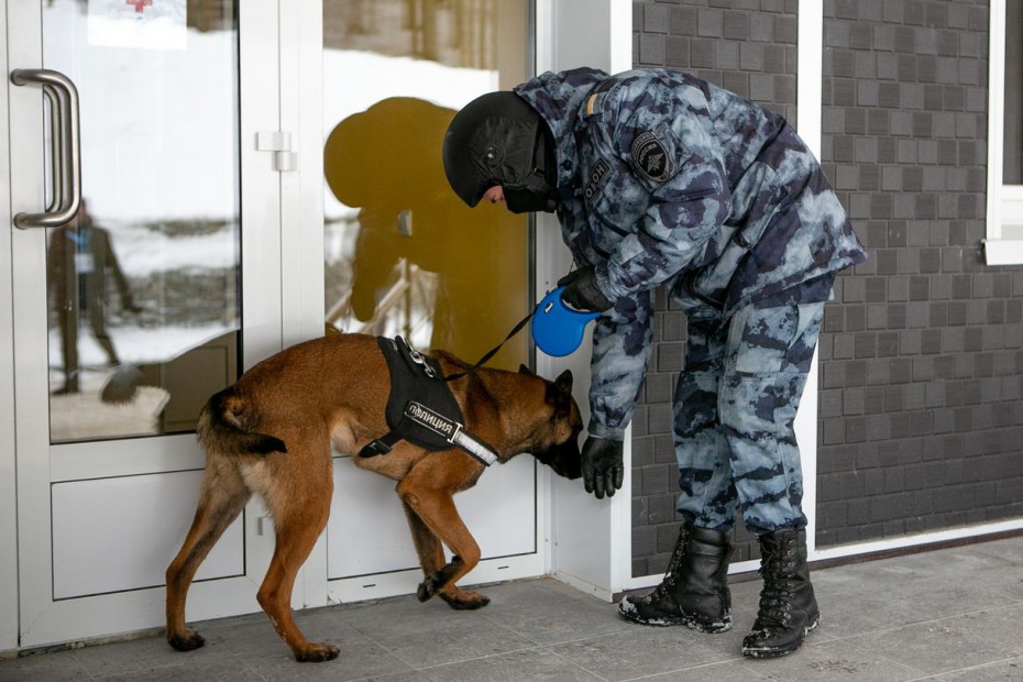 Зимние игры «Детей Азии» охраняют служебные собаки Росгвардии