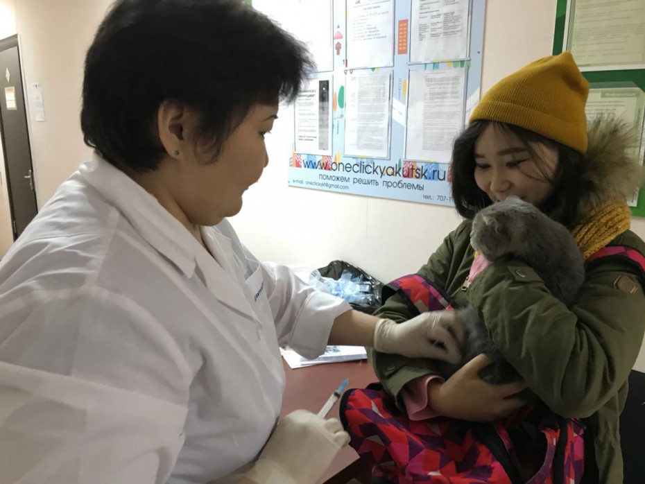 Бесплатная вакцинация от бешенства домашних животных в Автодорожном округе