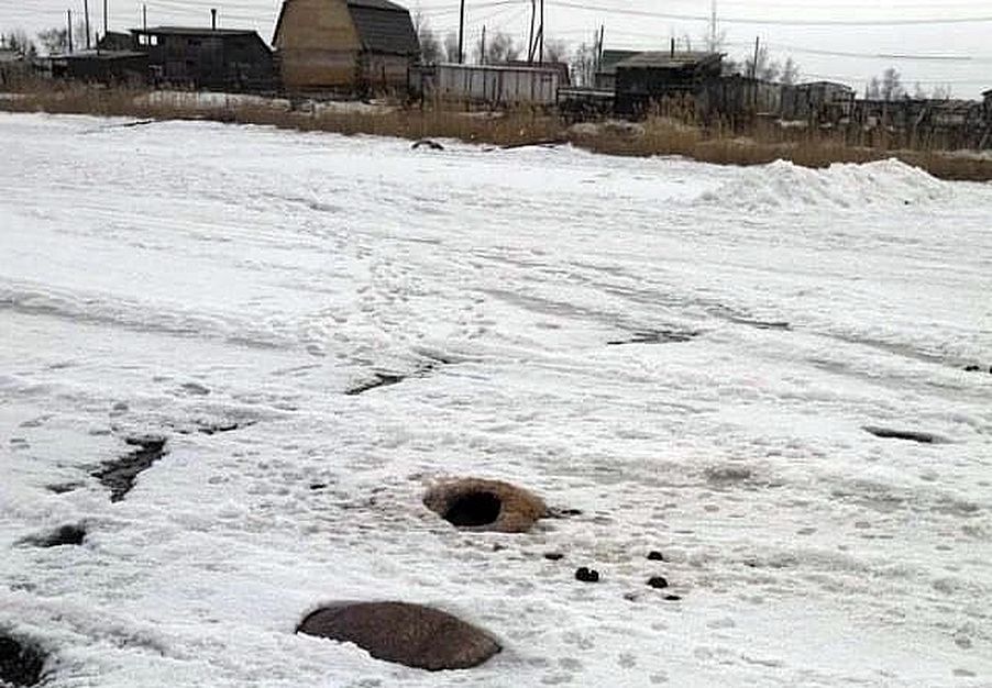 Мэрия Якутска: трупы девяти лошадей, вмерзших в лёд на озере в районе СОТ «Птицевод» будут убраны