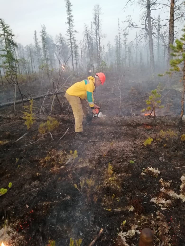 Оперативная информация о лесных пожарах на 30 июля