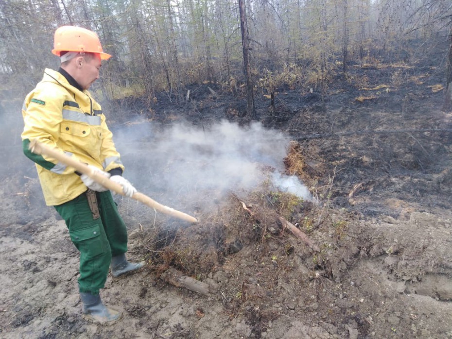 Оперативная информация о лесных пожарах на 15 июля
