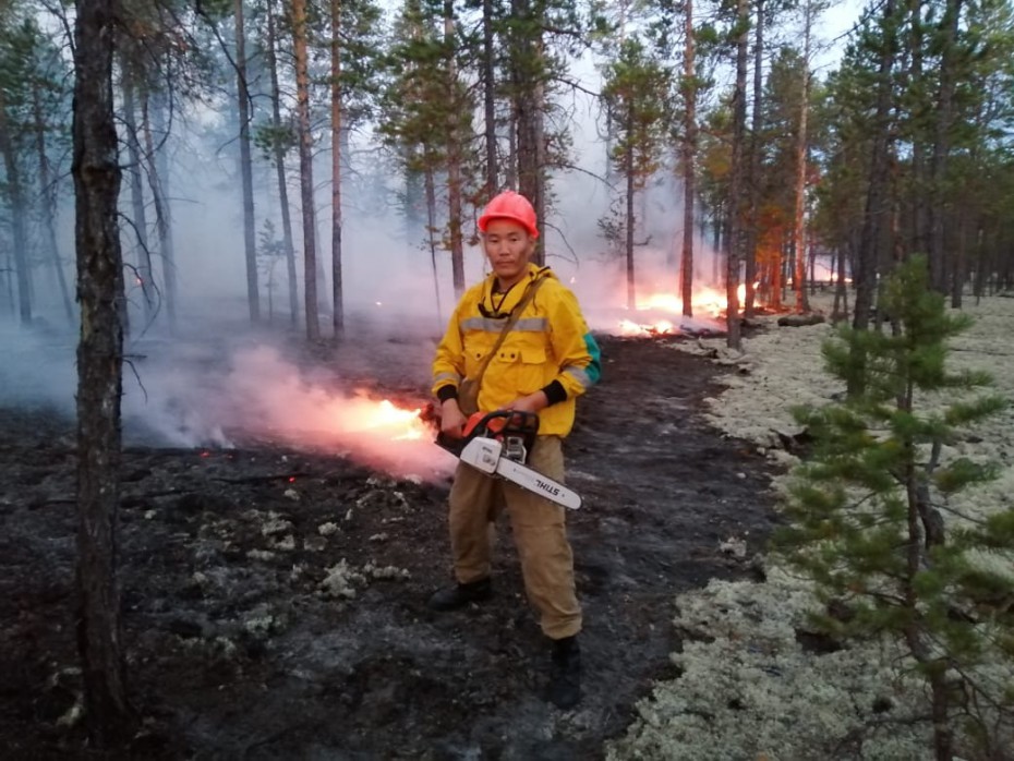 Оперативная информация о лесных пожарах на 31 июля