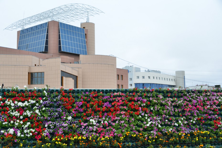 В Якутске высажено более 8 тысяч саженцев и 1,3 миллиона цветов