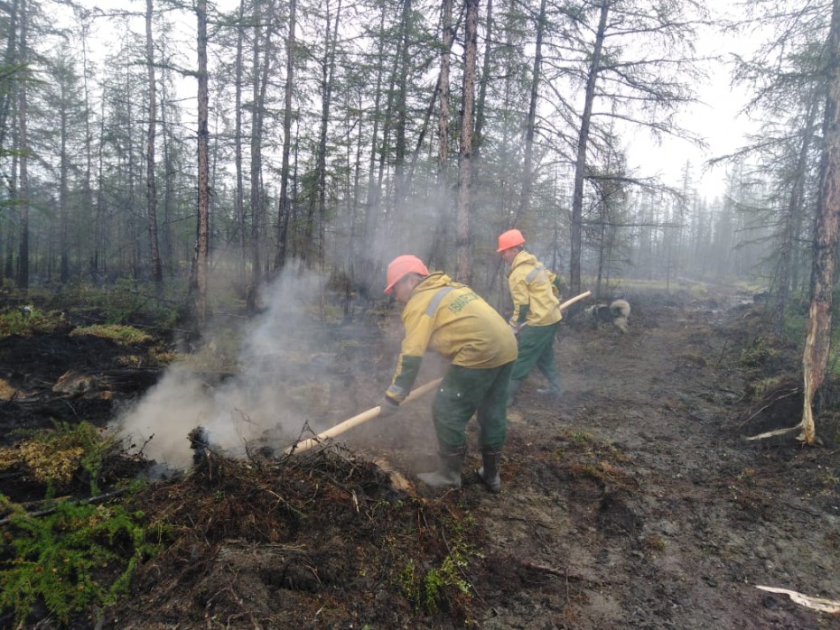 Оперативная информация о лесных пожарах на 19 июля