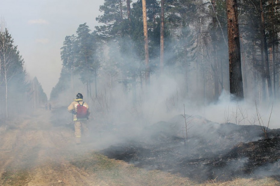 МЧС увеличит группировку сил в зоне лесных пожаров