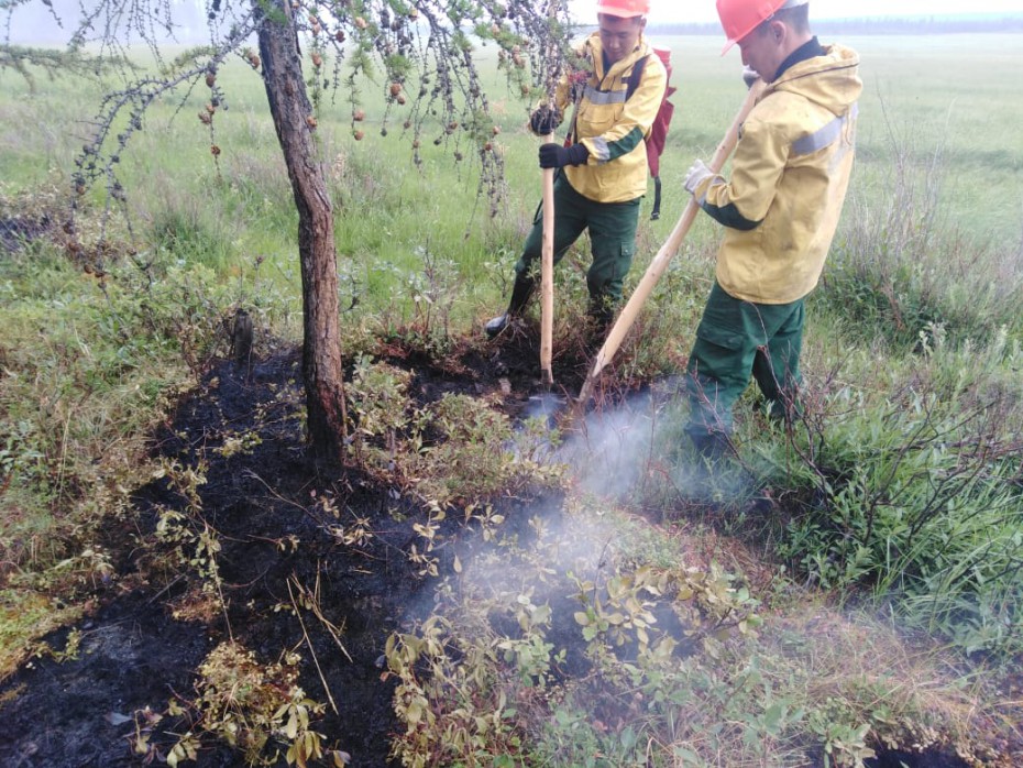 Оперативная информация о лесных пожарах на 16 июля