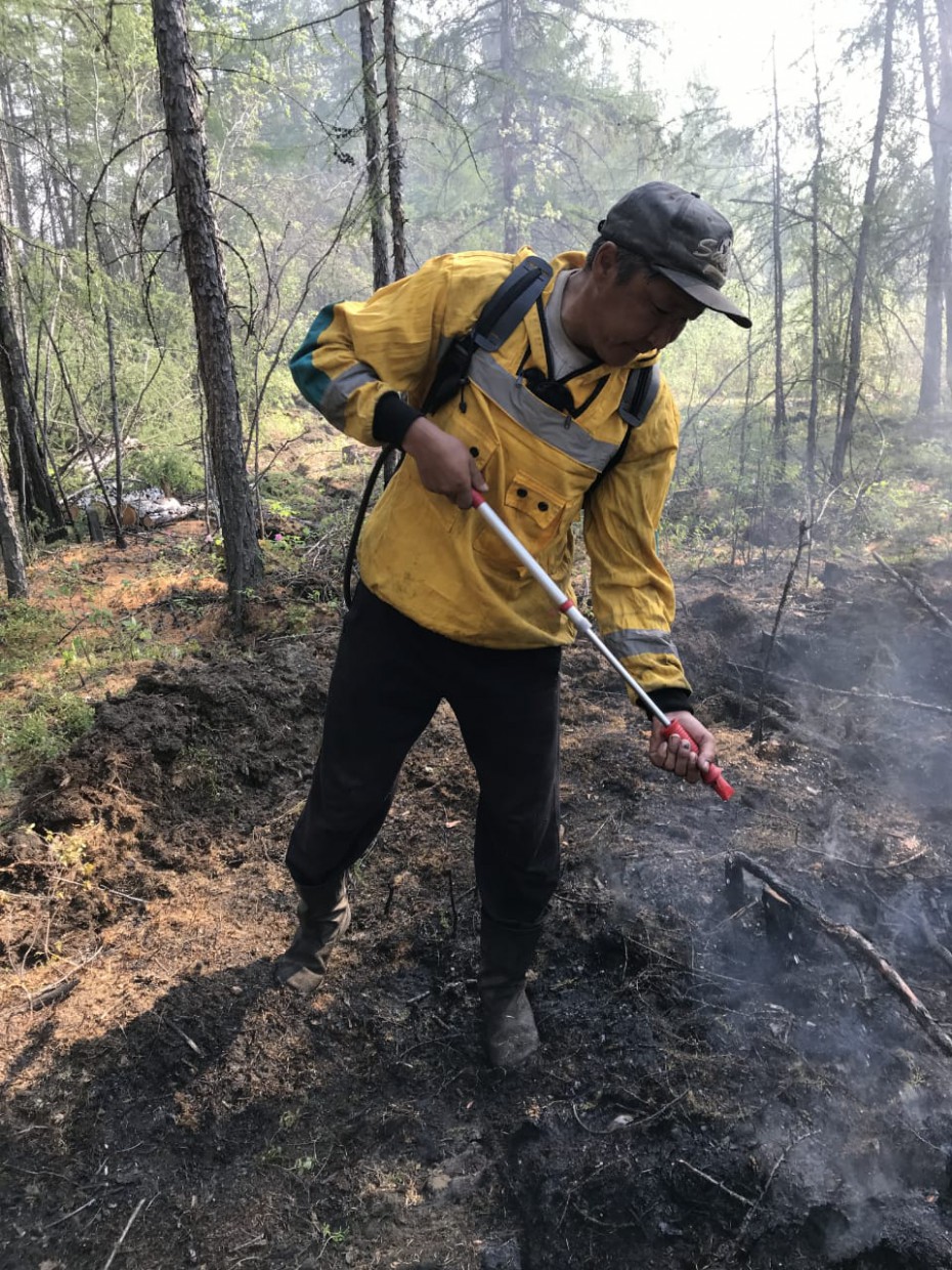 Оперативная информация о лесных пожарах на 17 июля